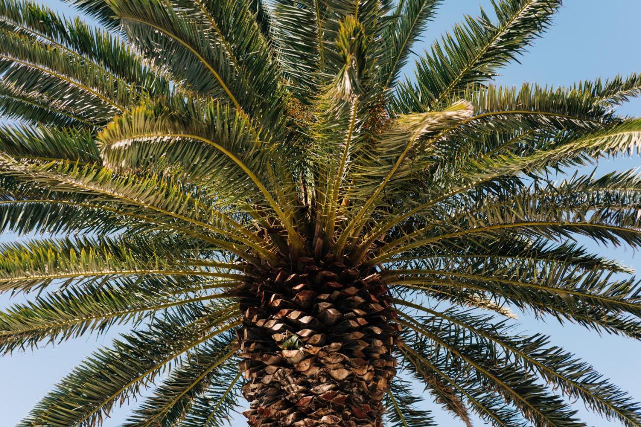 La Palmera - Fabulosa Casa, Lanzarote, Playa Honda Playa Honda  Luaran gambar